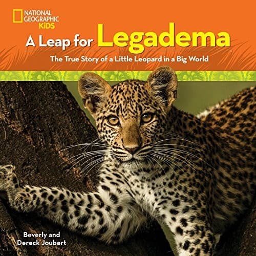 Tapa de A leap for Legadema