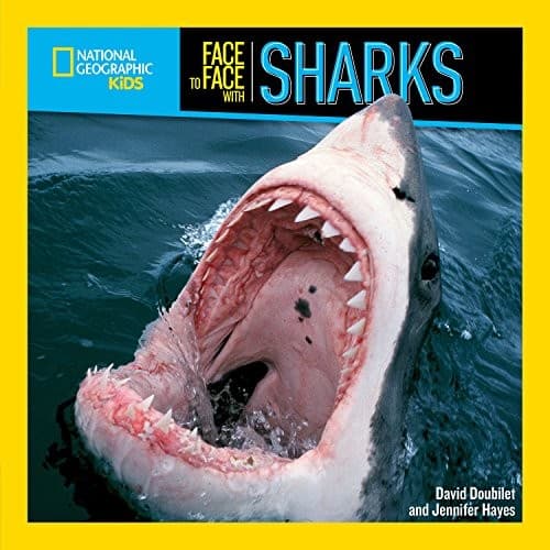 Tapa de Face to Face with Sharks