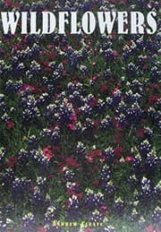 Tapa de Wildflowers