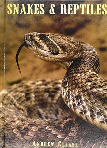 Tapa de Snakes & Reptiles