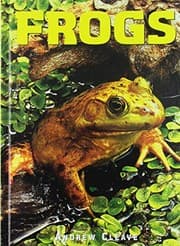 Tapa de Frogs