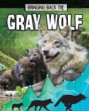 Tapa de Bringing Back the Gray Wolf