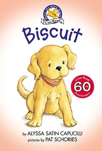 Tapa de biscuit