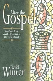 Tapa de After the Gospels