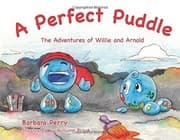 Tapa de A Perfect Puddle