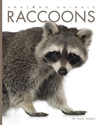 Tapa de Raccoons