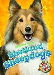 Tapa de Shetland Sheepdogs