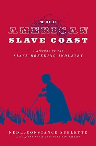 Tapa de The American slave coast