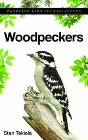 Tapa de Woodpeckers
