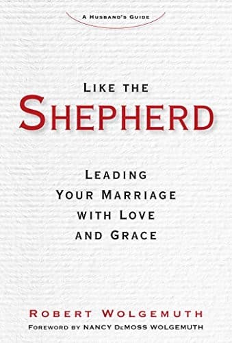 Tapa de Like the Shepherd