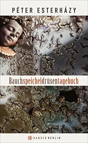Tapa de Bauchspeicheldrüsentagebuch