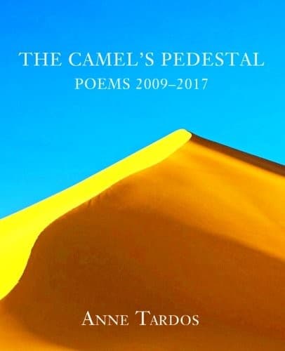Tapa de The Camel's Pedestal
