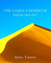 Tapa de The Camel's Pedestal