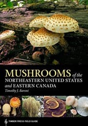 Tapa de Mushrooms of the Northeastern United States and Eastern Canada