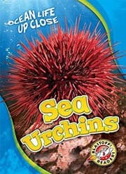 Tapa de Sea Urchins