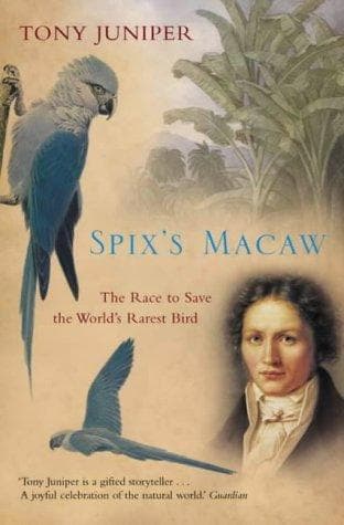 Tapa de Spix's macaw