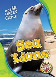 Tapa de Sea Lions