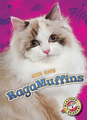 Tapa de RagaMuffins
