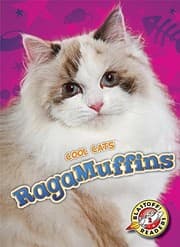 Tapa de RagaMuffins
