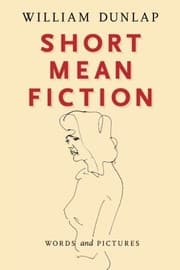 Tapa de Short Mean Fiction