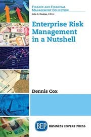 Tapa de A Brief Guide to Enterprise Risk Management