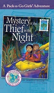 Tapa de Mystery of the Thief in the Night