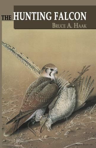 Tapa de The Hunting Falcon
