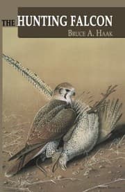 Tapa de The Hunting Falcon