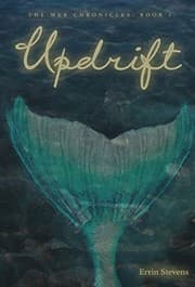 Tapa de Updrift