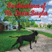Tapa de The Adventures of Mr. Dexter Burglar