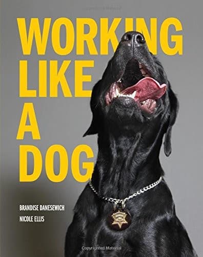Tapa de Working Like A Dog