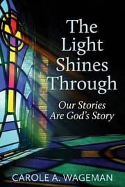 Tapa de The Light Shines Through