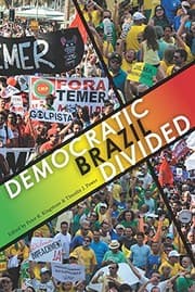 Tapa de Democratic Brazil Divided