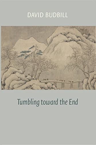 Tapa de Tumbling Toward the End