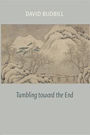 Tapa de Tumbling Toward the End