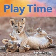 Tapa de Play Time