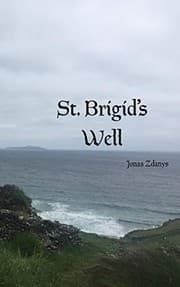 Tapa de St. Brigid's Well