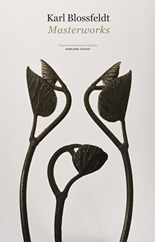Tapa de Karl Blossfeldt