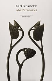 Tapa de Karl Blossfeldt