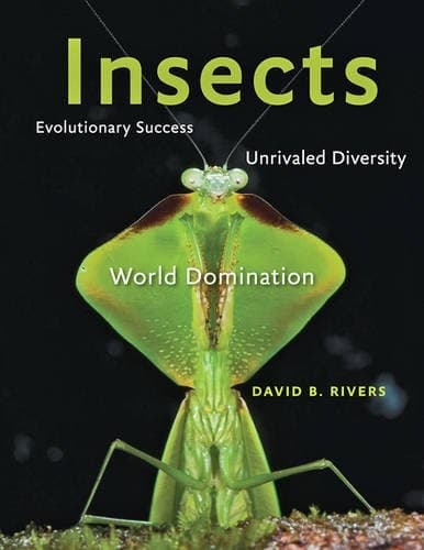 Tapa de Insects