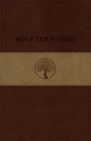 Tapa de TLV Personal Size Giant Print Reference, Holy Scriptures, Brown/Sand LeatherTouch