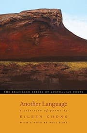 Tapa de Another Language