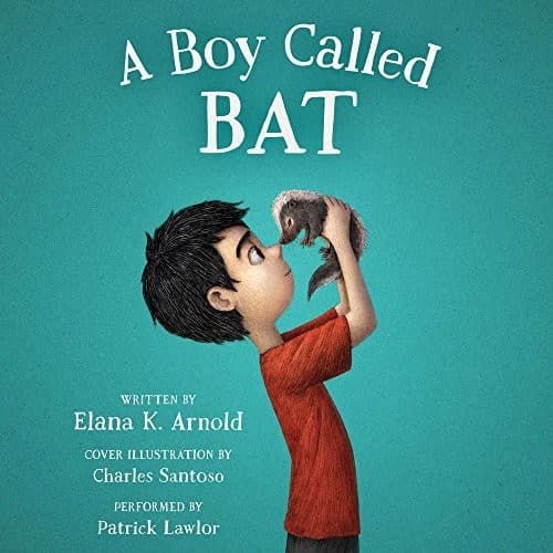 Tapa de A Boy Called Bat