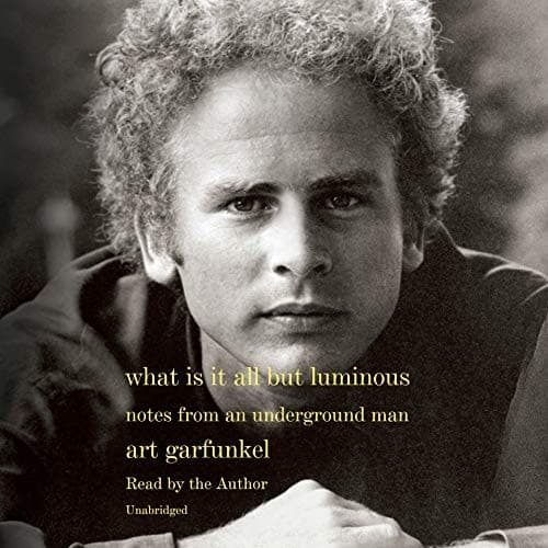 Tapa de What Is It All but Luminous