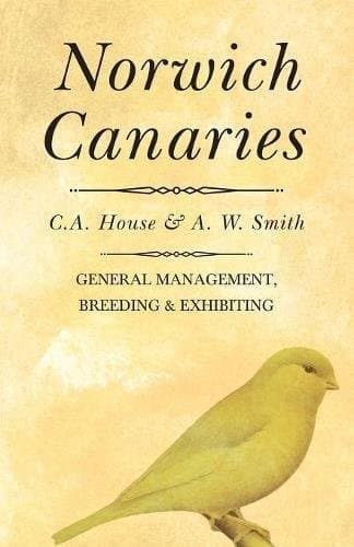 Tapa de Norwich Canaries
