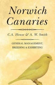 Tapa de Norwich Canaries