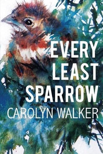 Tapa de Every Least Sparrow