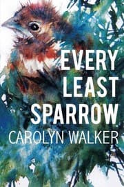 Tapa de Every Least Sparrow