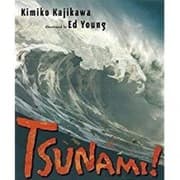 Tapa de Bug Club Comprehension Y6 Tsunami 12-pack