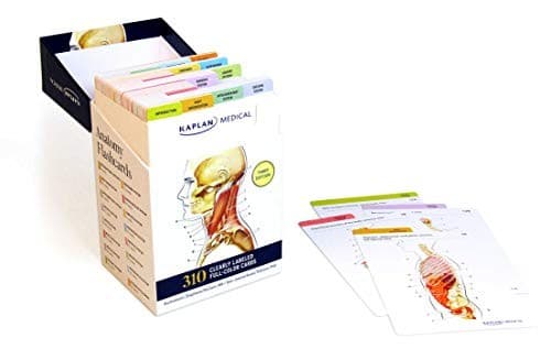 Tapa de Anatomy Flashcards